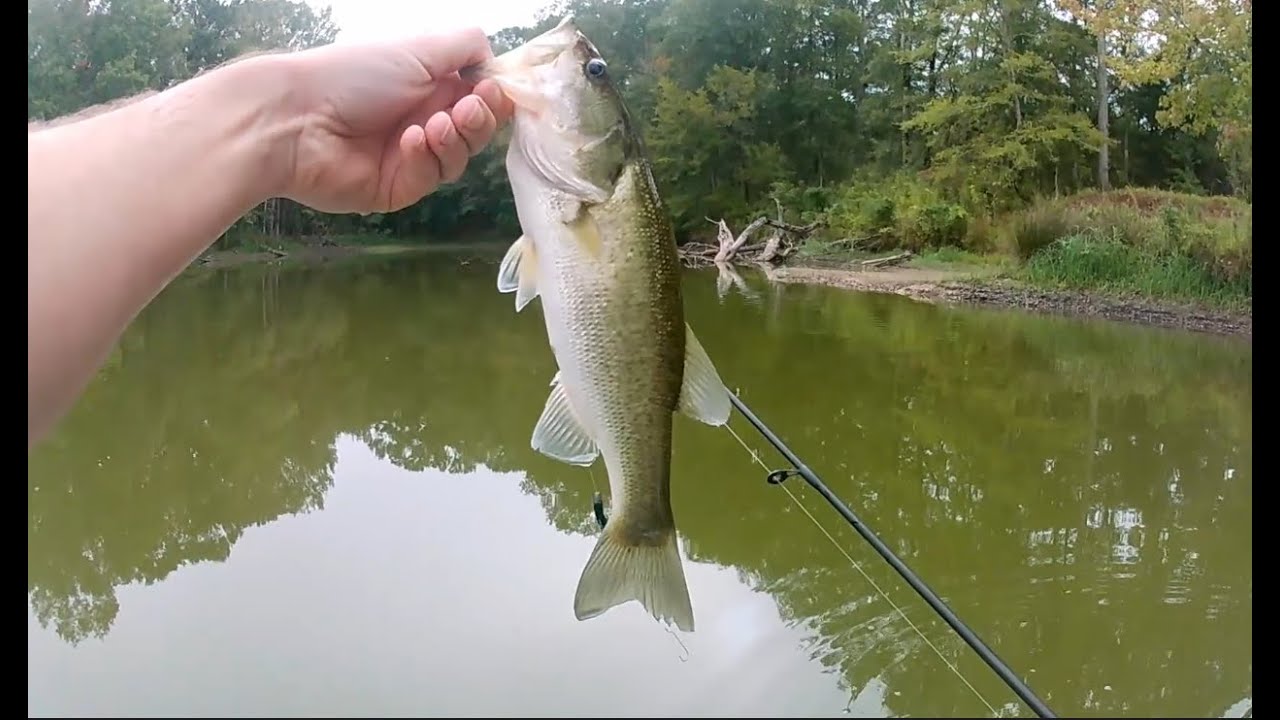 Bass Fishing the Deep South (Part 3)