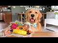 Dog Reviews Different Types of Food | Tucker Taste Test 19