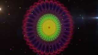 Poad 14 Century Of Seeing Anniversary Campaign