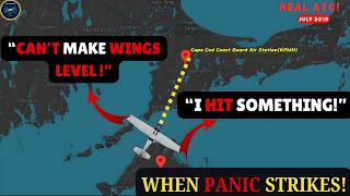 ILS approach GOES WRONG  ”I think i HIT SOMETHING!” #atc 1080p