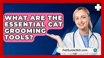 What Are The Essential Cat Grooming Tools? - PetGuide360.com