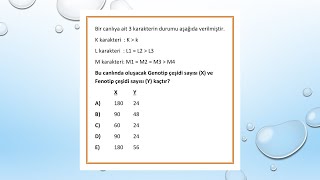 genotip | fenotip | krossing-over'lu gamet çeşidi bulma | soru