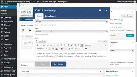 Adding a Call to Action - WordPress