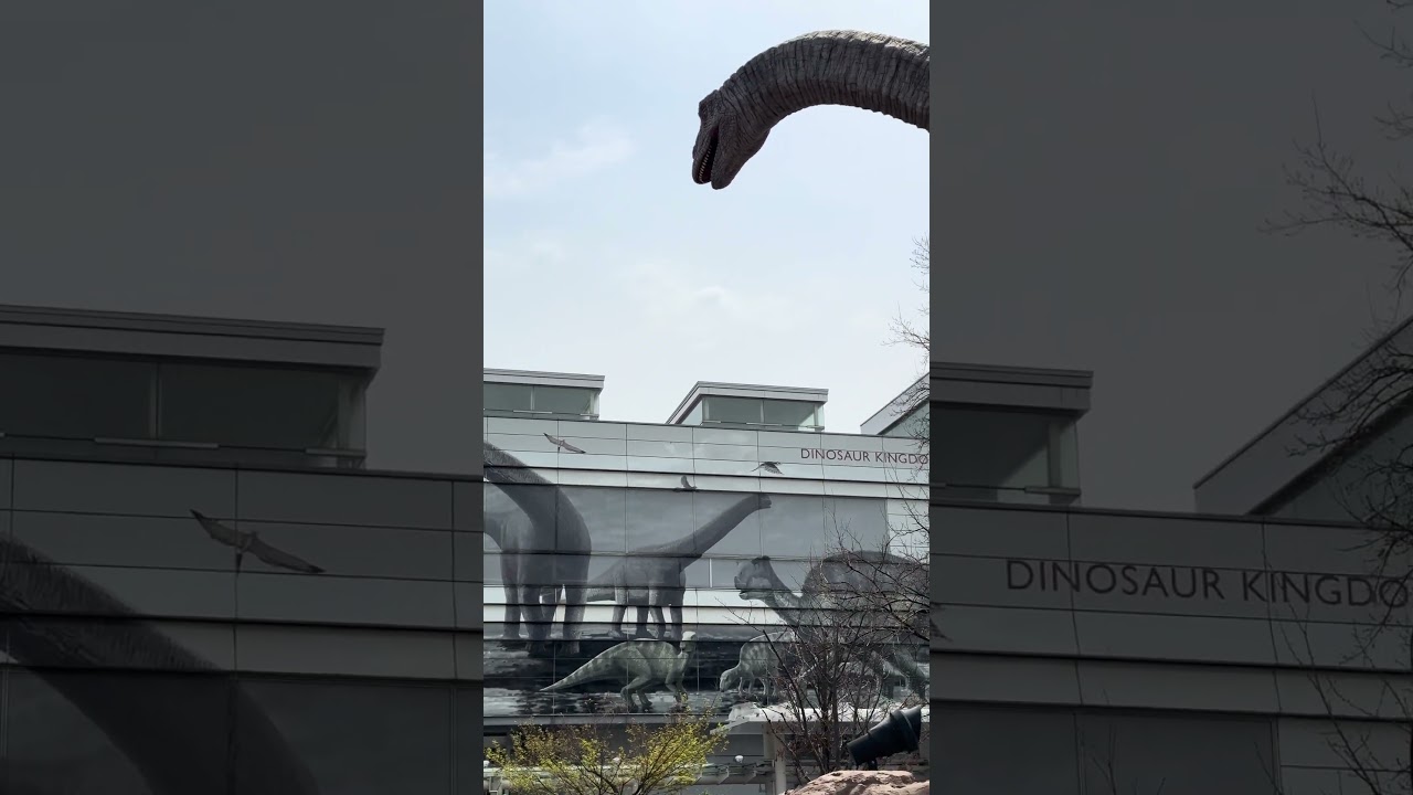 Fukui Station ❤️