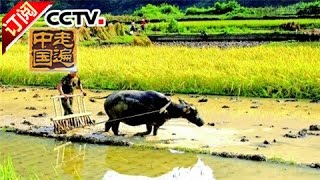 [Across China] 20160809 | CCTV-4