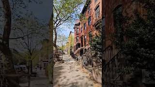 237 St James Pl price adjustment now asking $5,250,000 fully renovated townhouse #townhouse