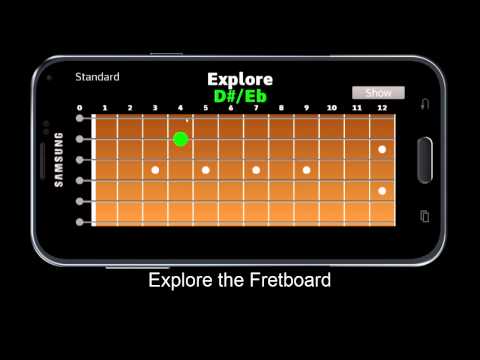 learn-the-notes-on-the-fretboard---fretboard-learn