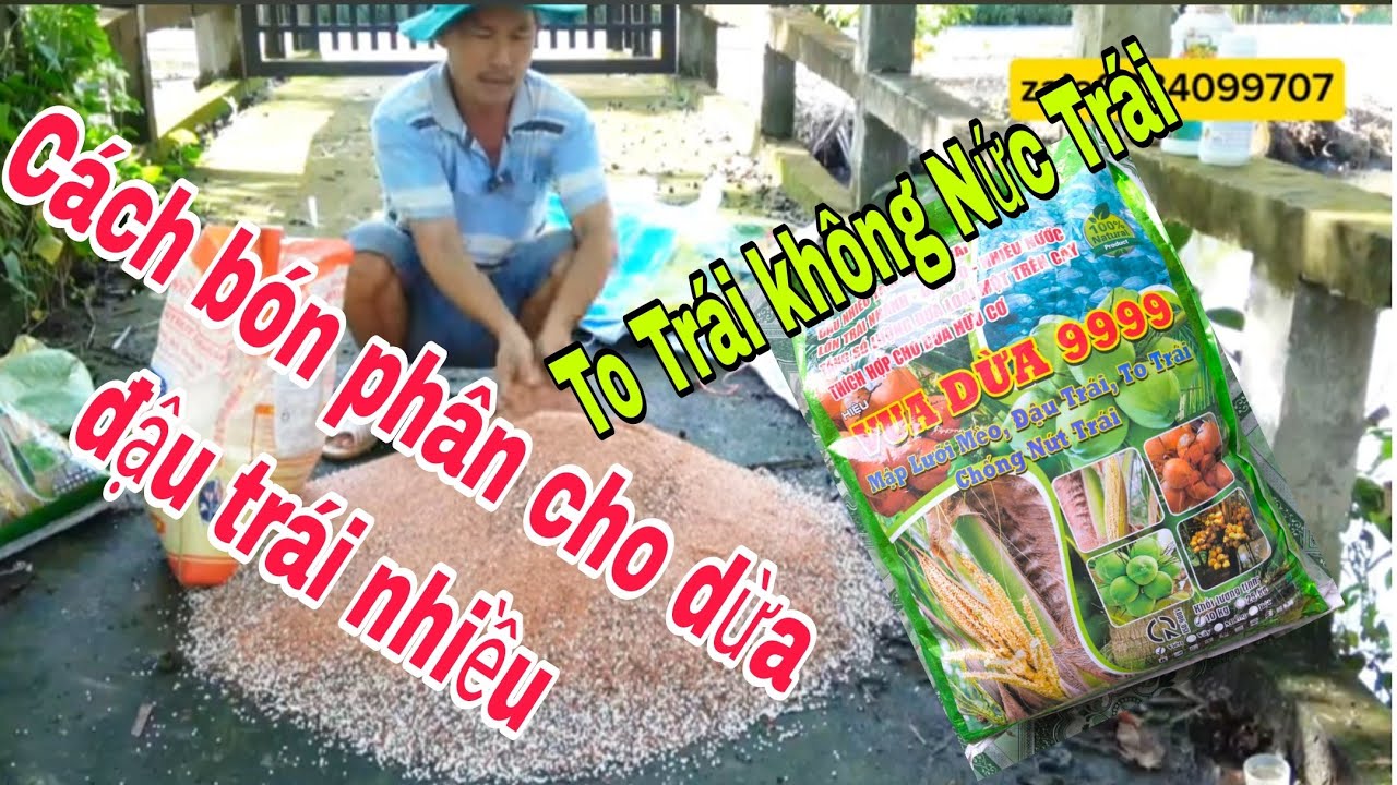 kĩ thuật bón phân cho dừa, cách kết hợp phân,, phân bón kích thích lưỡi mèo,, nở đọt