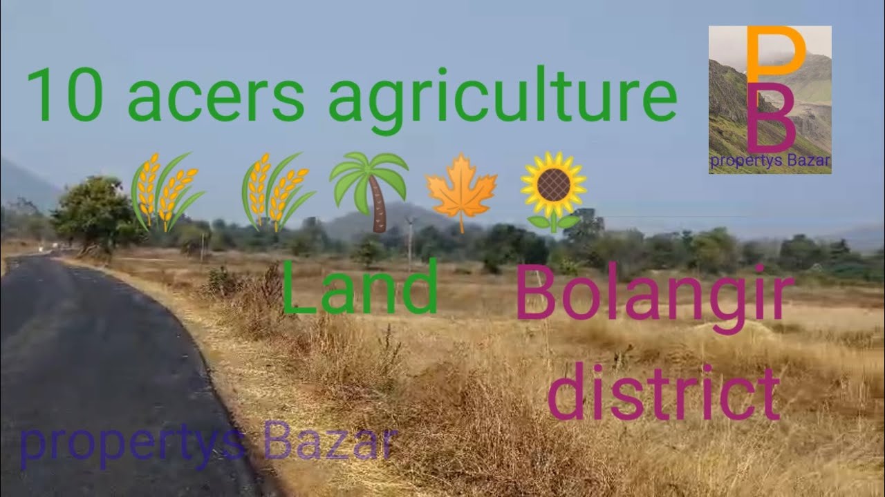 Property sale 1️⃣0️⃣ acres agriculture 🌾🌾🌴🌳 land on  black Road 🛣️🛣️ available in balangir district 