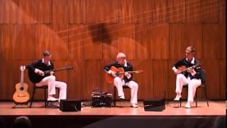 Trio Balkan Strings - Fermen - (Official Video 2010)HD