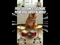Free beginners guide to AI Video creation free... without subscription - Seedance