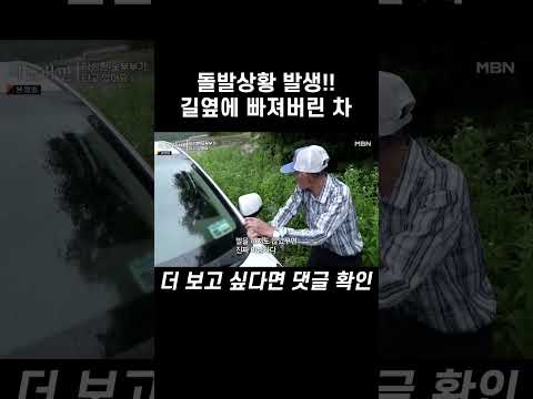 #shorts | 사노라면 <strong>589회</strong>