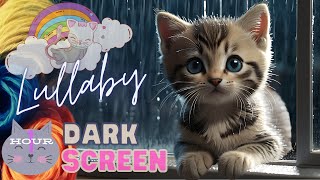 Night time lullaby | 1HOUR | Kitty goes to sleep | Dark Screen | Rainy Night White Noise