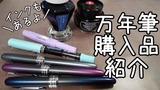 万年筆購入品紹介＆手持ちのインクを少し紹介