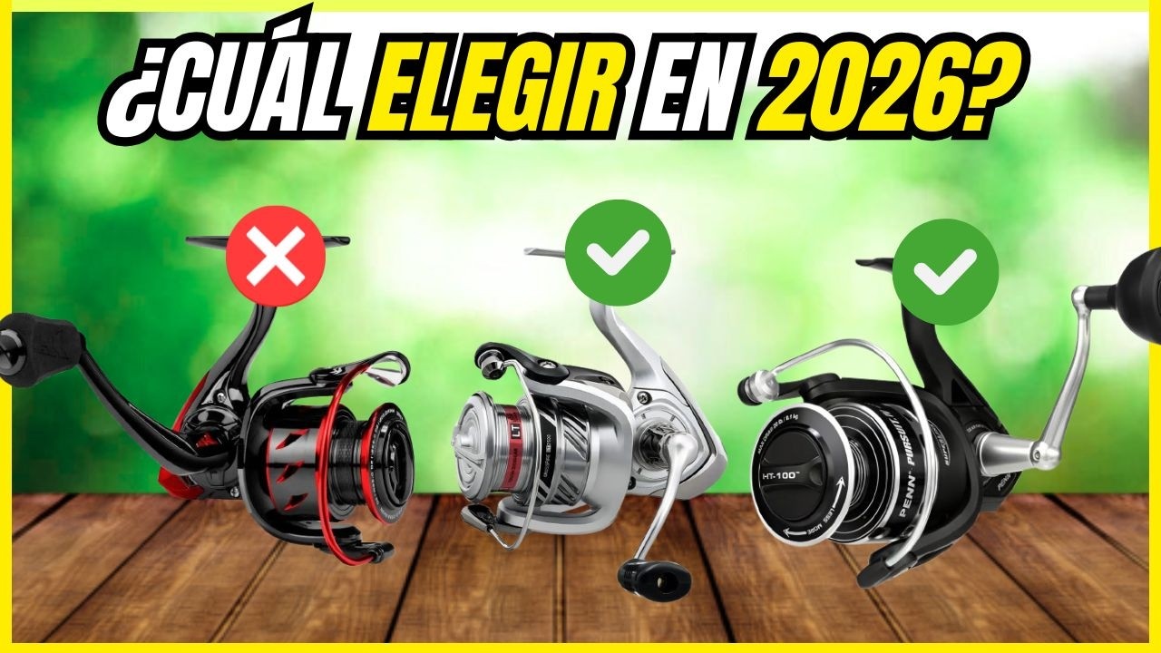 LOS 6 MEJORES CARRETES de Pesca 2026 🎣 Calidad-Precio