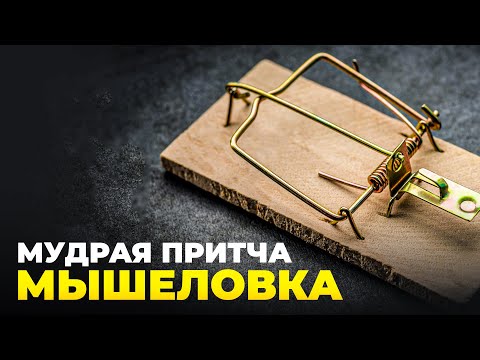 Мудрая притча 'Мышеловка'