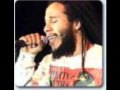 Ziggy Marley All Day All Night mp3