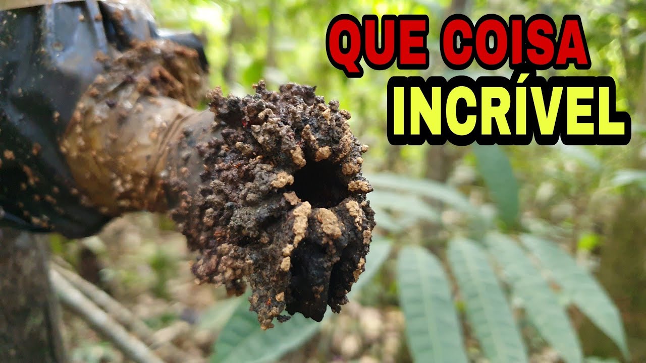 FUI na MATA vê MINHAS ISCAS PETS e TIVE UMA SUPRESA INCRÍVEL!!!!!!