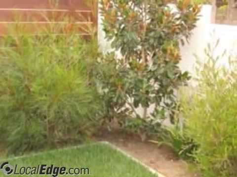 tree works plus inc youtube tree works inc