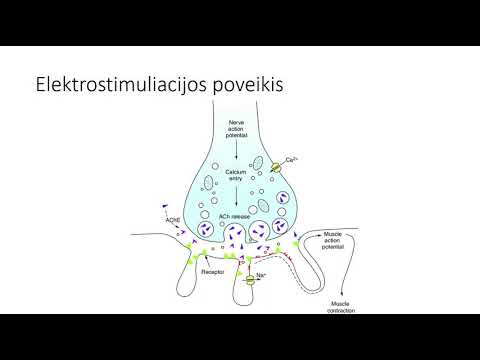 Video: Raumenų Distrofija (MD) Ir Išsėtinė Sklerozė (MS)