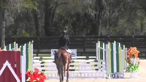 Video of Miss Scarlett ridden by Eileen O'Leary fr...