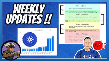 Bull Market Money Flow + Cardano Smart Contracts On Chain Growing!
