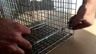 How to construct your Pestrol Possum / Cat Traps