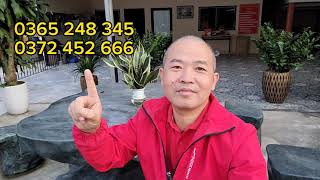 Thiết kế và thi công cảnh quan sân vườn | Sân vườn đẹp
