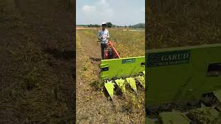 To Ham bhai soybean wala cutter Chala rahi hai Khet Mein soybean dekh sakte hain Paisa Kat raha hai