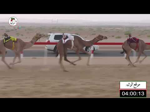 الشوط 1 كسابه ل محمد العصري سعيد الخييلي شارة الاتحاد 2021 11 5 ثنايا رماح