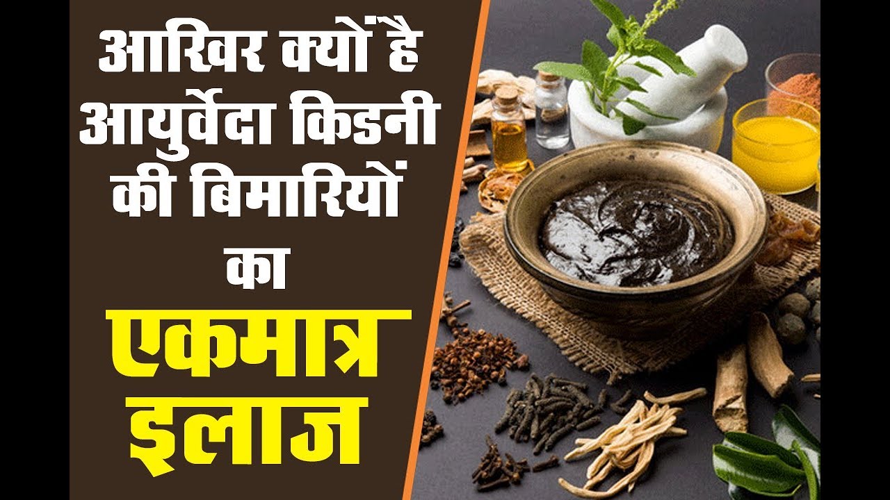 Kidney Treatment in Ayurveda By Puneet Dhawan YouTube