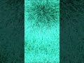 Relaxing White Noise Sounds for Sleeping Visual ASMR 🌙