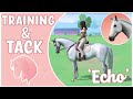 EQUESTRIAN THE GAME ⭐ Looking At Tack & Training Tips ⭐ 'Echo' New Horse