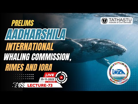 Lecture - 73 | International whaling commission, RIMES And IORA | Aadharshila  #IGT&C  #upscprelims