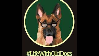 Behind the Scenes of Marty's Place Senior Dog Sanctuary with Doreen Jakubcak