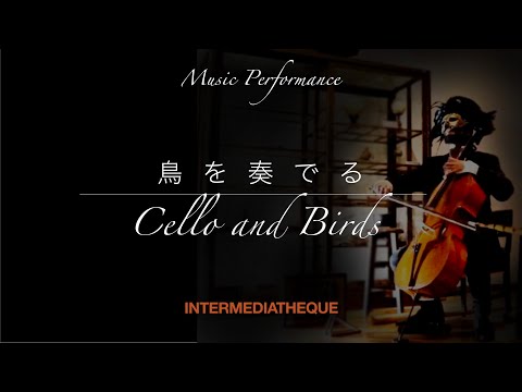 Cello and Birds