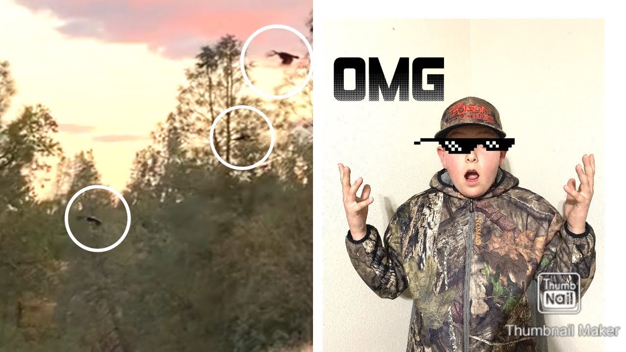 Turkey hunting!!THREE BIG TOMS!!