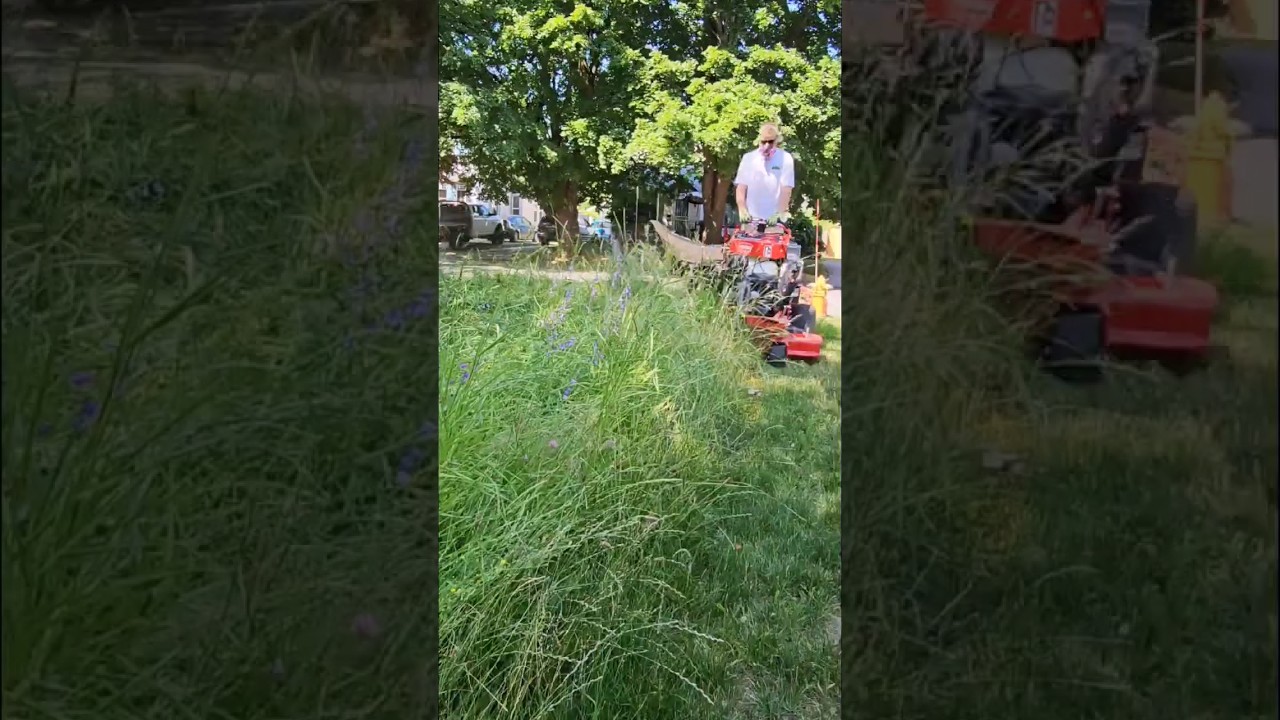 Overgrown JUNGLE Speed Mowing 🚜💨 