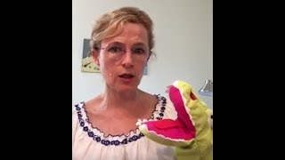 Orthophonie Comment Faire Le Son Ch Exercices-Orthophonie.fr