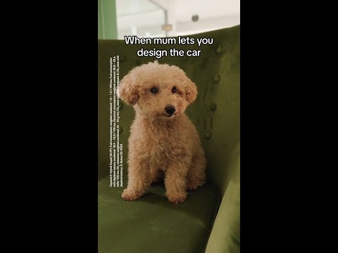 The pawfect Porsche for your puppy #shorts