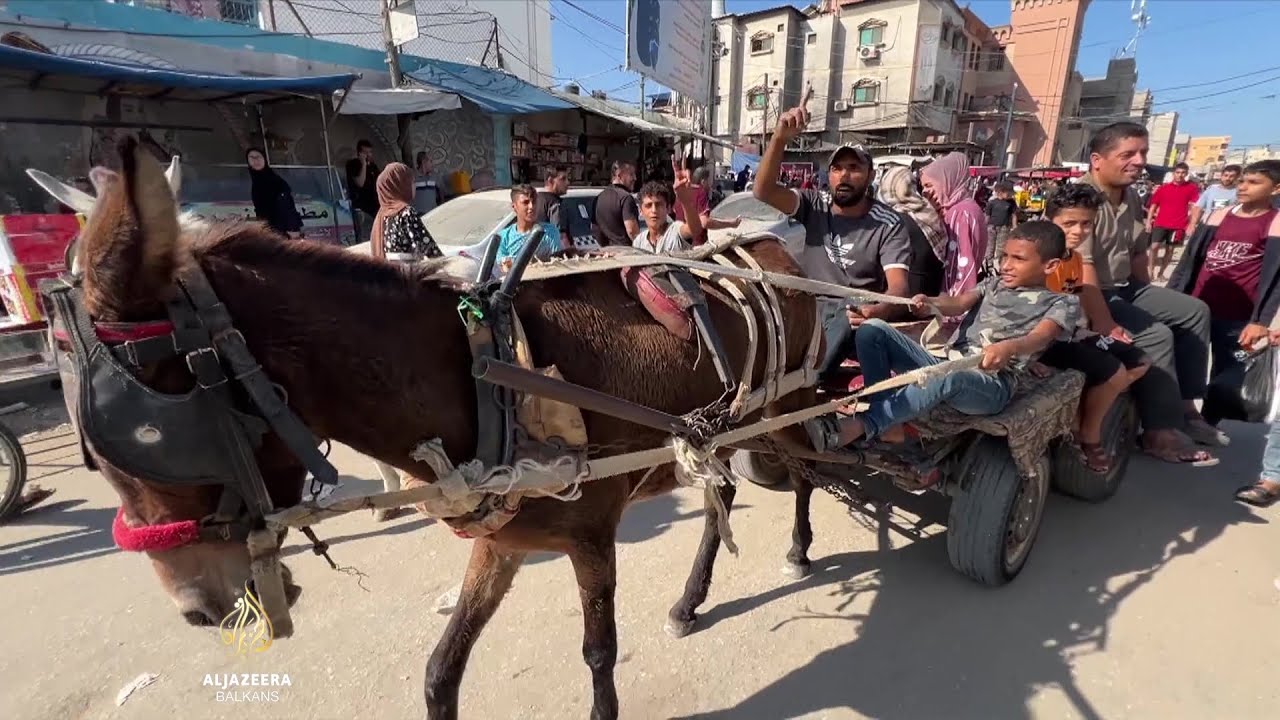 الفلسطينيون في غزة يعودون بالزمن إلى الوراء: العربات التي تجرها الخيول تحل محل السيارات