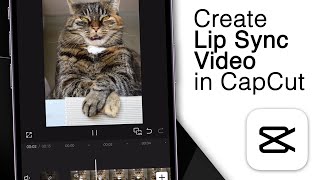 How to Create Lip Sync Video in CapCut Mobile! [2025]