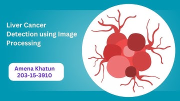 Liver Cancer Detection Using Image Processing