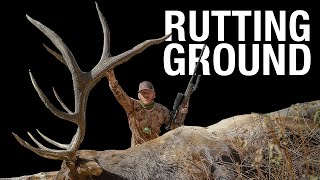 DREAM Rifle Elk Hunt - Rutting Ground