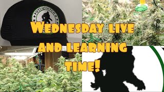 WEDNESDAY LIVE LEARNING TIME!