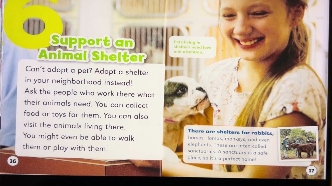 10 Things You Can Do To Protect Animals