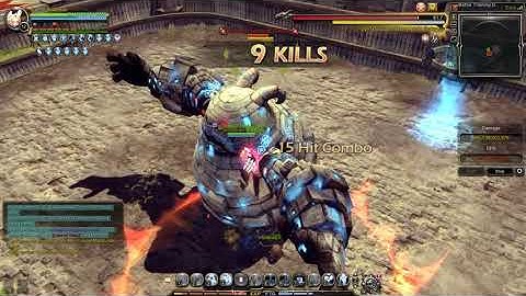 Dragon Nest Defensio skill rotation