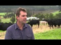 MLA&#39;s More Beef from Pastures: A producer experience from Western Australia