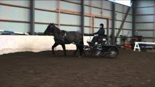 Harjoittelija C Ja Antti