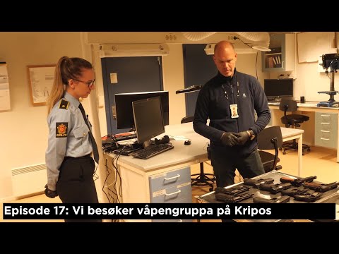 Video: Hvordan Få Våpentillatelse I